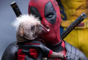 &iexcl;Alerta de Spoiler! Te contamos m&aacute;s sobre Dogpool, la tierna perrita de la peli Deadpool &amp; Wolverine