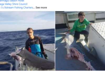 En redes sociales, unas fotograf&iacute;as de tiburones con grandes mordidas causaron p&aacute;nico. 