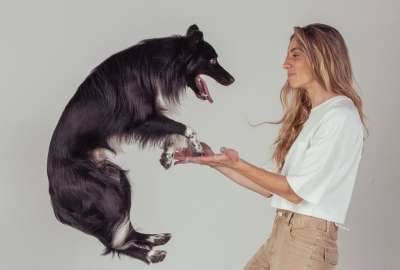 Un perro bailar&iacute;n conquista la redes sociales con su talento. 