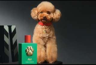 Fef&eacute;, el perfume para perros que cuesta 99 euros