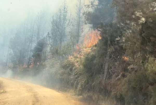 El Inamhi advirti&oacute; de posibles incendios por las altas temperaturas.