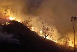 Incendio forestal consume 20 hect&aacute;reas de bosque en Zaruma
