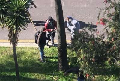 Actos vand&aacute;licos durante nueve d&iacute;as de protestas