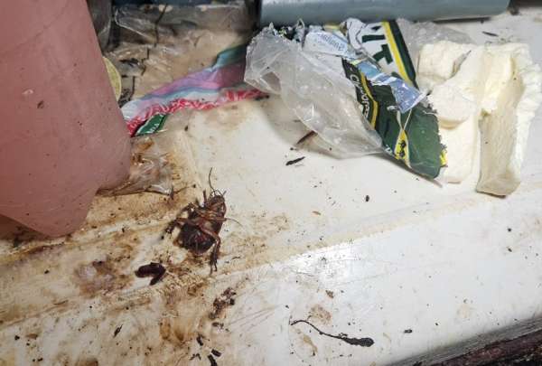 La Arcsa identific&oacute; una tienda al sur de Guayaquil que funcionaba en total insalubridad. El local fue clausurado.&nbsp;
