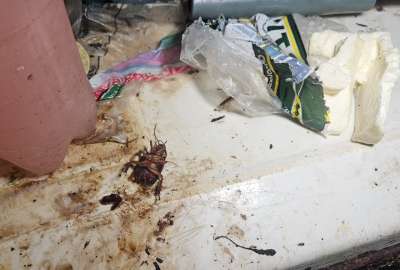La Arcsa identific&oacute; una tienda al sur de Guayaquil que funcionaba en total insalubridad. El local fue clausurado.&nbsp;