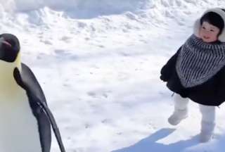 Ni&ntilde;a protagoniza tierno momento con unos ping&uuml;inos