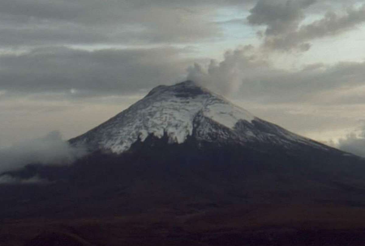 El IG se&ntilde;al&oacute; que el nivel de actividad, tanto superficial como interna es moderado y sin tendencia a cambios.