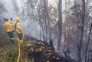 Incendio forestal afect&oacute; al barrio de San Roque