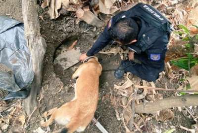 La mayor parte de la droga incautada se encontr&oacute; en una finca en Yaguachi.