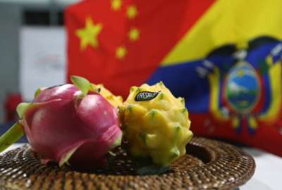 Ecuador env&iacute;o primer cargamento de pitahaya a China