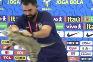 La Confederaci&oacute;n Brasile&ntilde;a de F&uacute;tbol ser&iacute;a multada por botar al gato en la conferencia de prensa