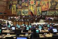 La Asamblea se ratificó en los textos relacionados con el Consejo Directivo del IESS.