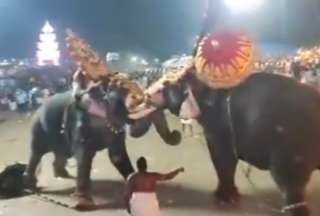 India: dos elefantes se pelearon y atacaron a los asistentes de festival religioso