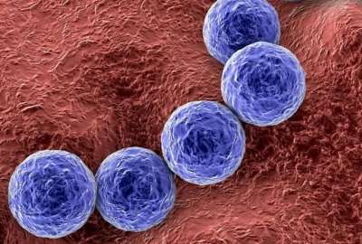 En los &uacute;ltimos seis meses en Argentina, el n&uacute;mero de infecciones ha crecido por la bacteria; tambi&eacute;n los fallecidos.