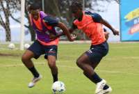 Estos son los jugadores que no ir&aacute;n al Sudamericano Sub 20. 