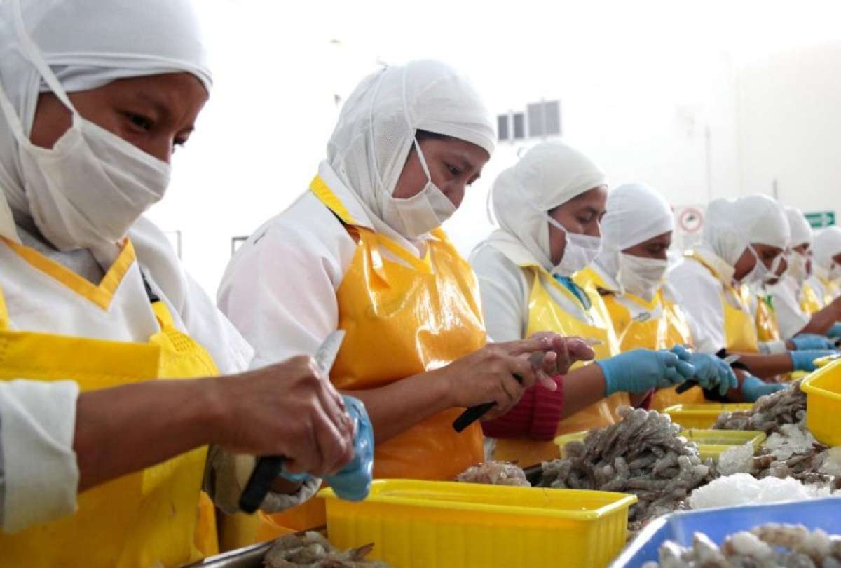 A trav&eacute;s de un comunicado oficial, el Gobierno Nacional anunci&oacute; nuevas medidas para frenar la crisis energ&eacute;tica. 