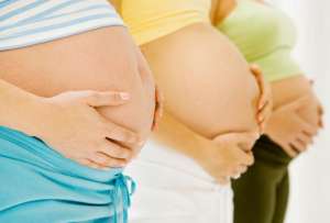 La entrega del bono tiene como objetivo reducir la tasa de desnutrici&oacute;n infantil en Ecuador. 