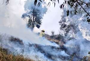 Estos son los incendios forestales activos en Ecuador. &iquest;C&oacute;mo est&aacute; la situaci&oacute;n en Loja?