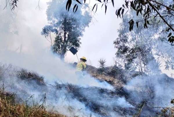 Estos son los incendios forestales activos en Ecuador. &iquest;C&oacute;mo est&aacute; la situaci&oacute;n en Loja?