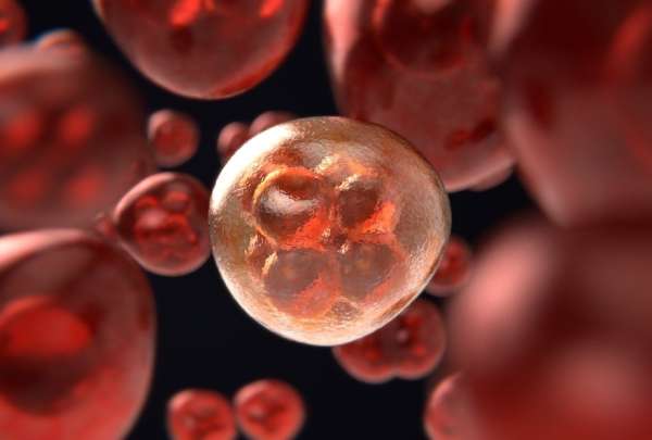 As&iacute; puedes reconocer el c&aacute;ncer en sus etapas tempranas