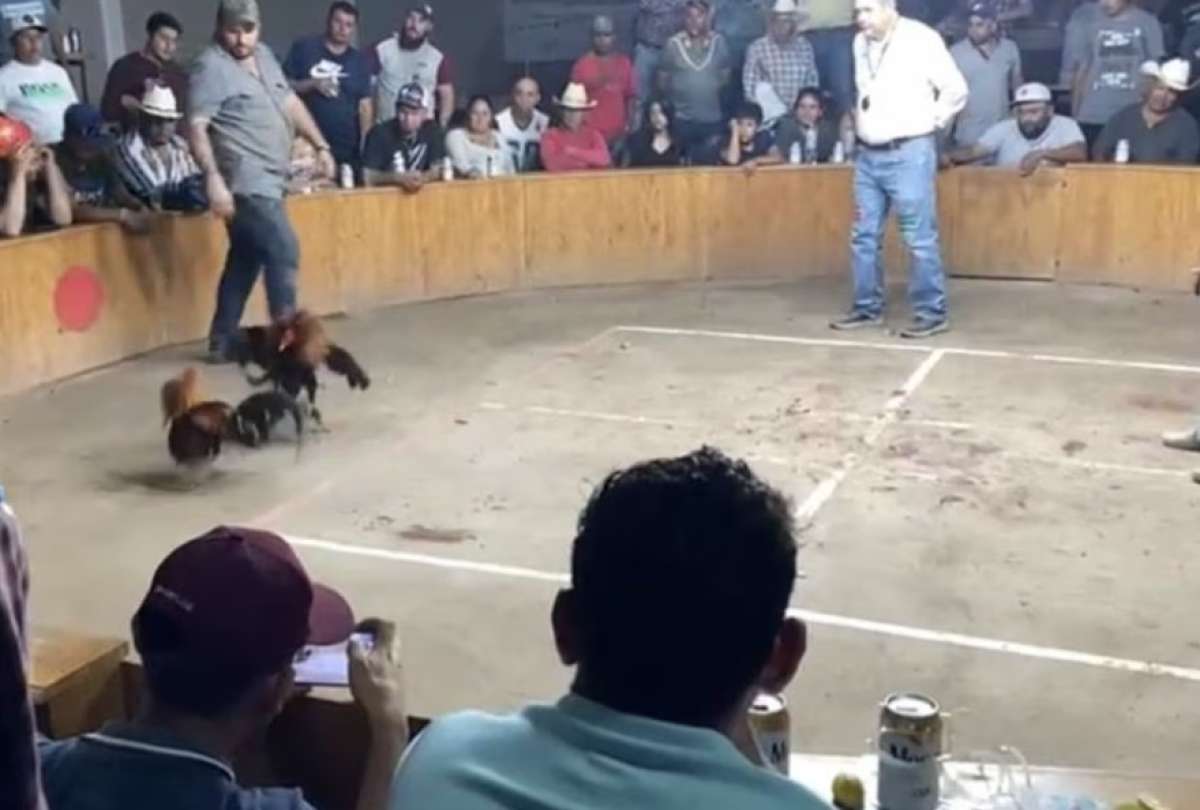 Autoridades investigan las causas del ataque armado en M&eacute;xico