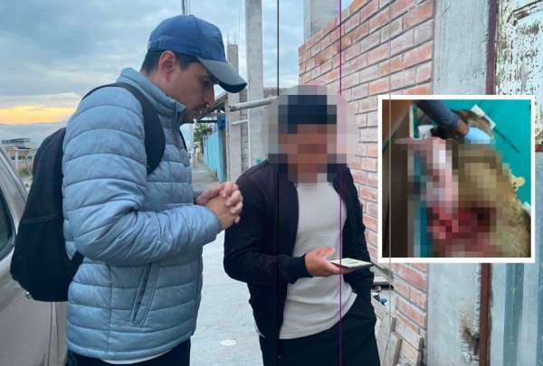 Luis I. (centro) fue multado luego de una brutal agresi&oacute;n en contra de una perra de raza Akita.
