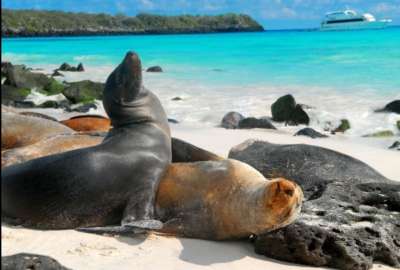 La ruta Manta-Gal&aacute;pagos ser&aacute; controlada para evitar el ingreso de plagas a las islas