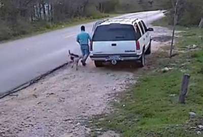Hombre abandona a su perro en la carretera y fue detenido por la Polic&iacute;a