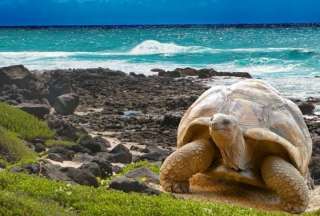 Ecuador canjea millonaria deuda para proteger a las Islas Gal&aacute;pagos