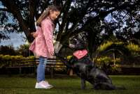 &iquest;C&oacute;mo elegir el snack apropiado para nuestras mascotas?