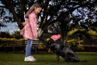 &iquest;C&oacute;mo elegir el snack apropiado para nuestras mascotas?