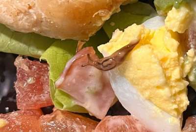 La mujer se percat&oacute; de la presencia de la babosa cuando ya estaba por terminar de comer su ensalada.