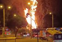 Un incendio forestal se produjo en el Tr&eacute;bil, Quito.
