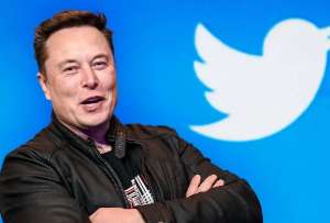 Elon Musk expuls&oacute; a todo el consejo de administraci&oacute;n de Twitter