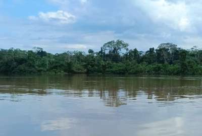 En el Yasun&iacute; es una zona diversa ubicada en el oriente ecuatoriano.