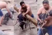 Una perrita fue rescatada de un caudaloso r&iacute;o en Colombia.  