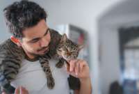 ¿Por qué tu gato es temeroso y hasta agresivo?