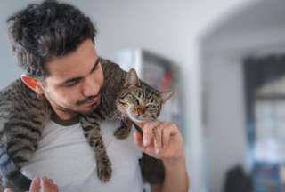 &iquest;Por qu&eacute; tu gato no es sociable?