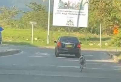 Un video capt&oacute; el abandono de un perro.
