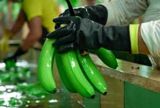 Ecuador ampl&iacute;a su mercado para la exportaci&oacute;n de productos agropecuarios