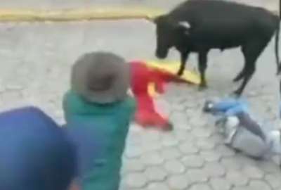 Video: Varios heridos en las fiestas de P&iacute;llaro