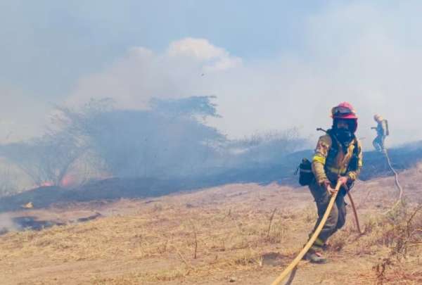 Los bomberos trabajan con 128 efectivos y 45 veh&iacute;culos para sofocar los incendios. 