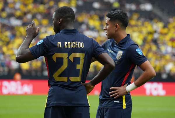 La selecci&oacute;n revivi&oacute; en la Copa Am&eacute;rica