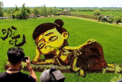 Pinturas sobre los campos de arroz son un atractivo tur&iacute;stico en China