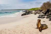 El objetivo de esta decisión es conectar Manabí con Galápagos.