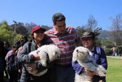 Cuenca se declara &acute;Ciudad Animalista&acute;