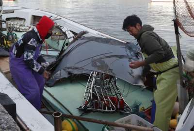 Rescatistas hallaron restos de cinco tripulantes tras siniestro a&eacute;reo en aguas de Jap&oacute;n