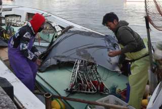 Rescatistas hallaron restos de cinco tripulantes tras siniestro a&eacute;reo en aguas de Jap&oacute;n