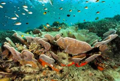 Un ecosistema resiliente ante el cambio clim&aacute;tico.