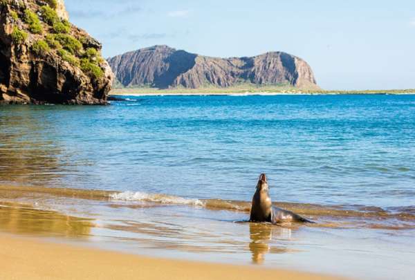 Parque Nacional Gal&aacute;pagos cierra temporalmente sitios tur&iacute;sticos por alerta de tsunami